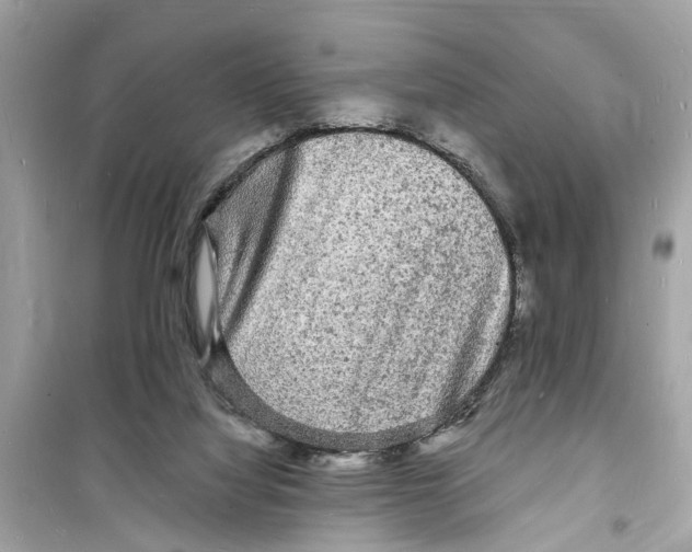 X0000098230068200805221720