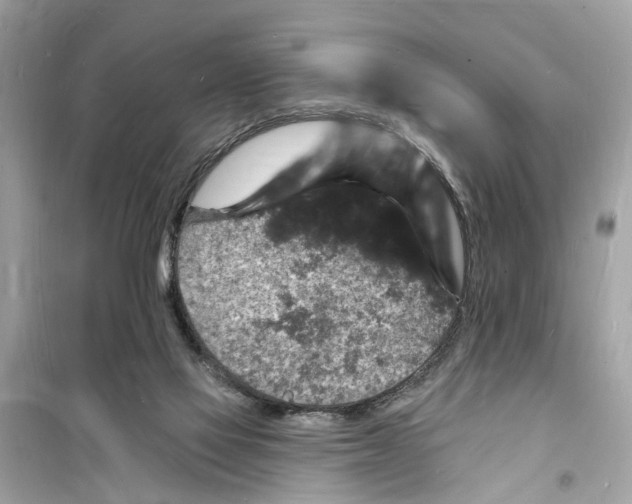 X0000098230069200805221720