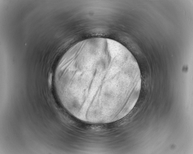 X0000098230070200805221720