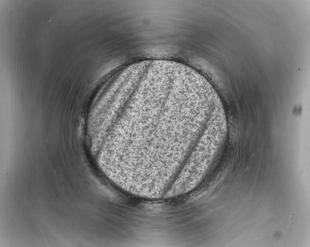 X0000098230071200805221720