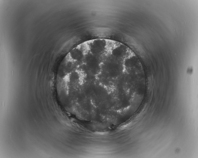 X0000098230073200805221720