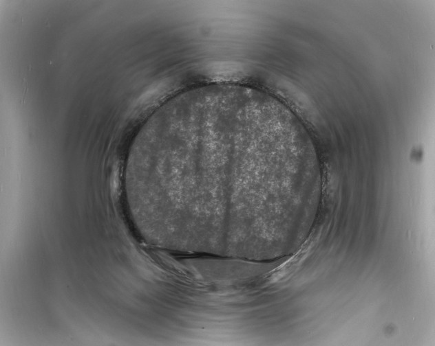 X0000098230074200805221720