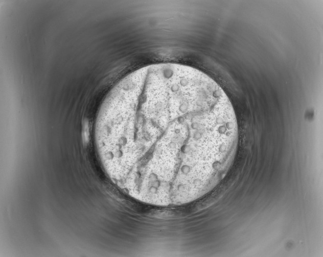 X0000098230075200805221720