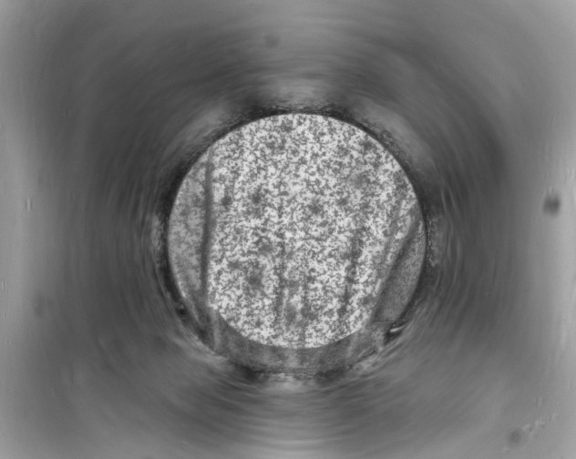 X0000098230077200805221720