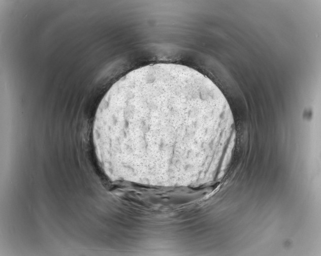 X0000098230078200805221720