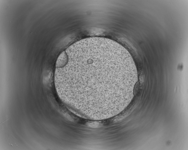 X0000098230079200805221720