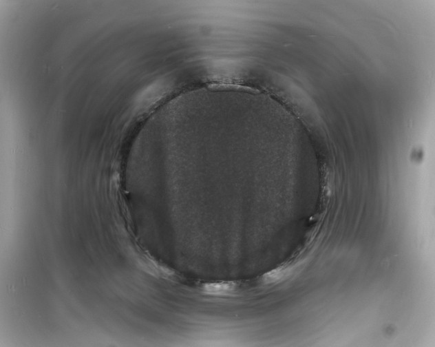 X0000098230080200805221720