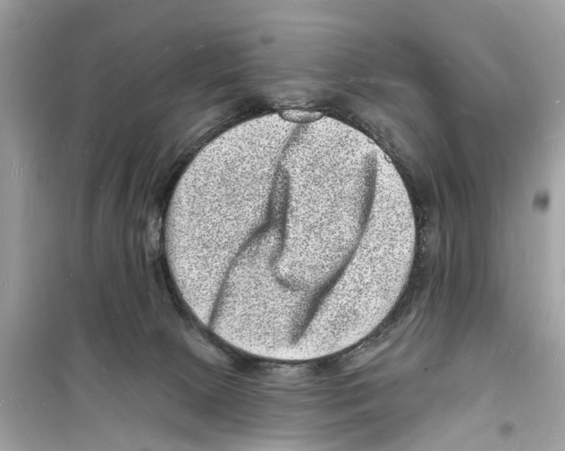 X0000098230081200805221720