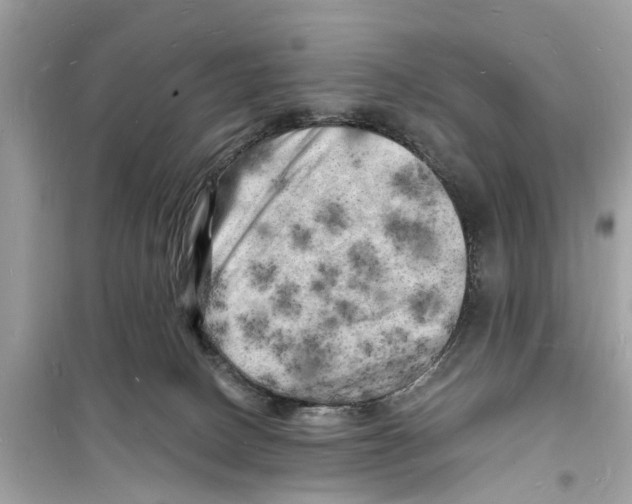 X0000098230082200805221720