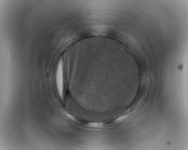 X0000098230084200805221720