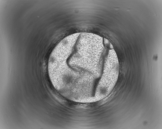 X0000098230086200805221720