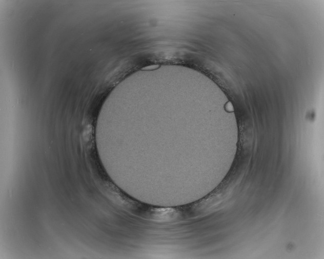 X0000098230087200805221720