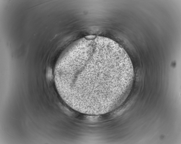 X0000098230089200805221720