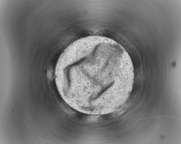 X0000098230090200805221720