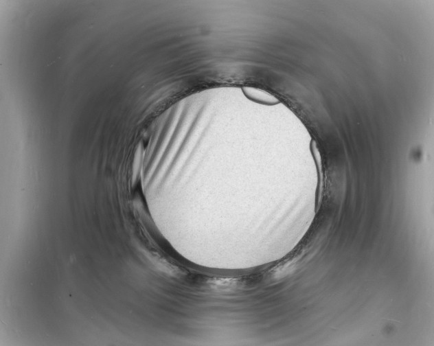 X0000098230092200805221720