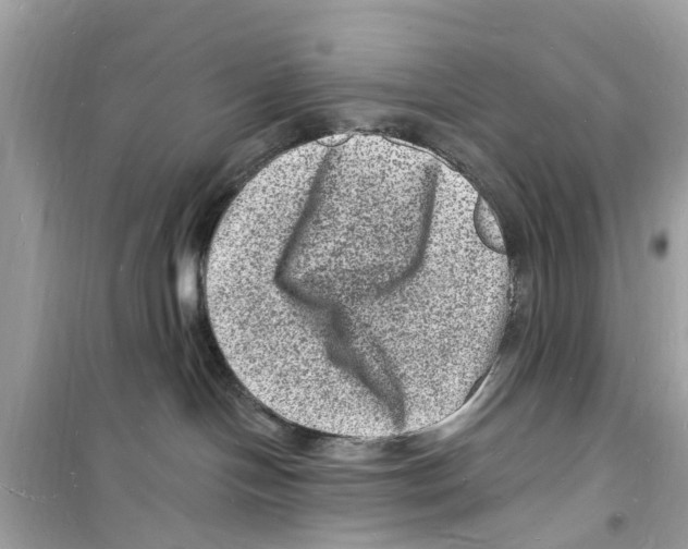 X0000098230094200805221720