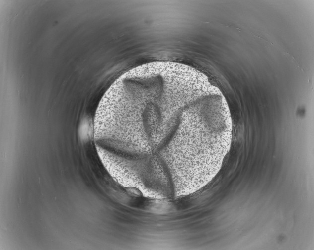 X0000098230095200805221720