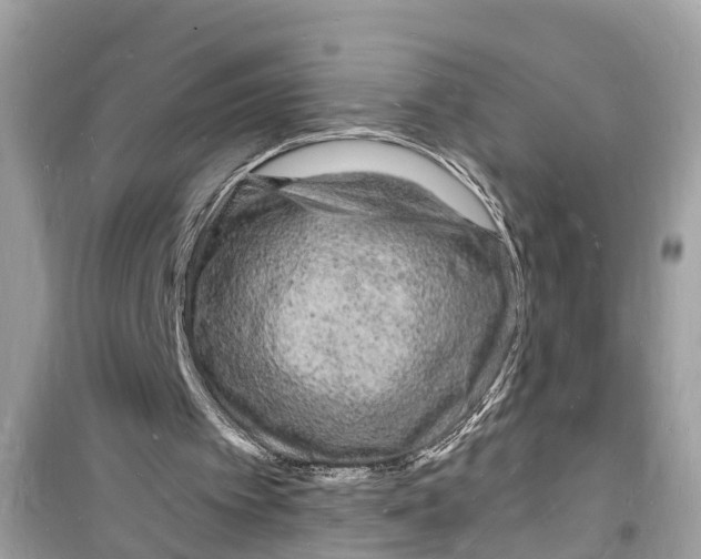 X0000098230097200805221720