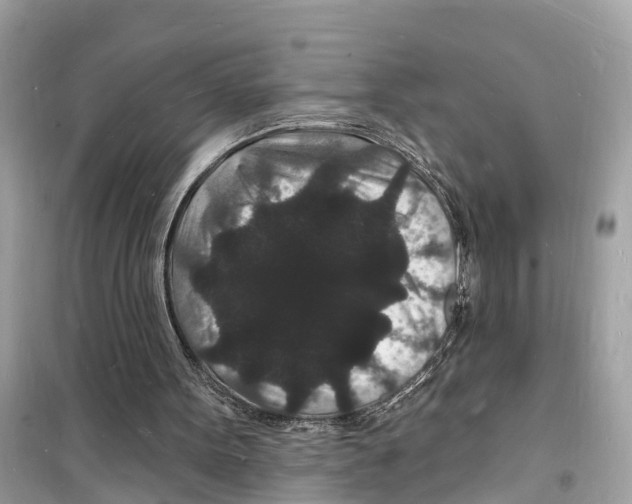 X0000098230099200805221720