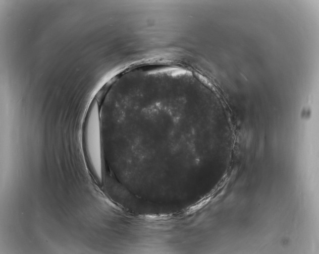 X0000098230100200805221720