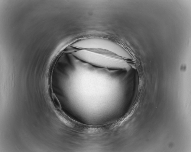 X0000098230101200805221720