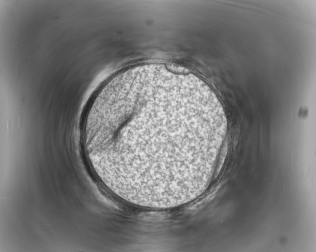 X0000098230102200805221720