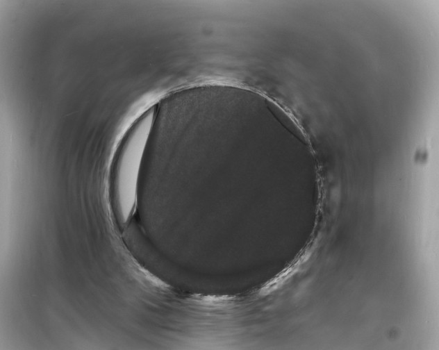 X0000098230104200805221720