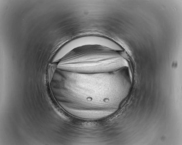 X0000098230105200805221720