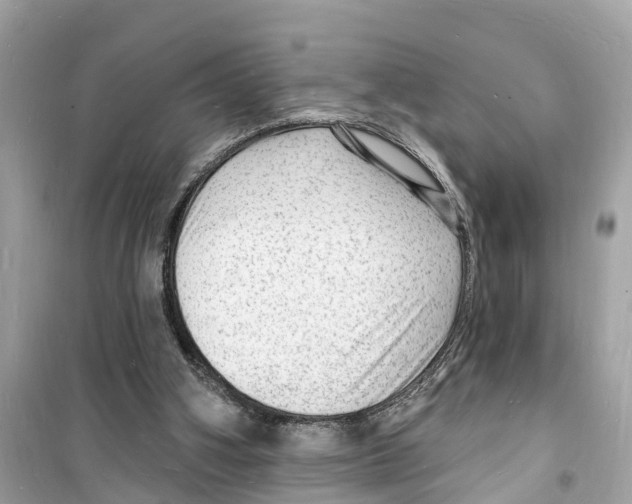 X0000098230106200805221720