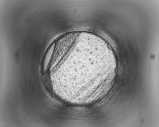 X0000098230107200805221720