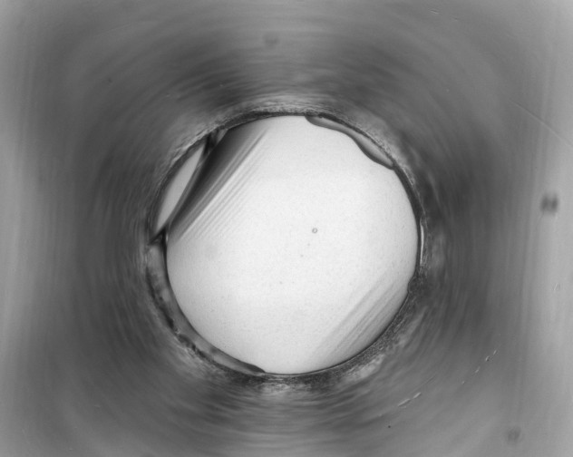 X0000098230109200805221720