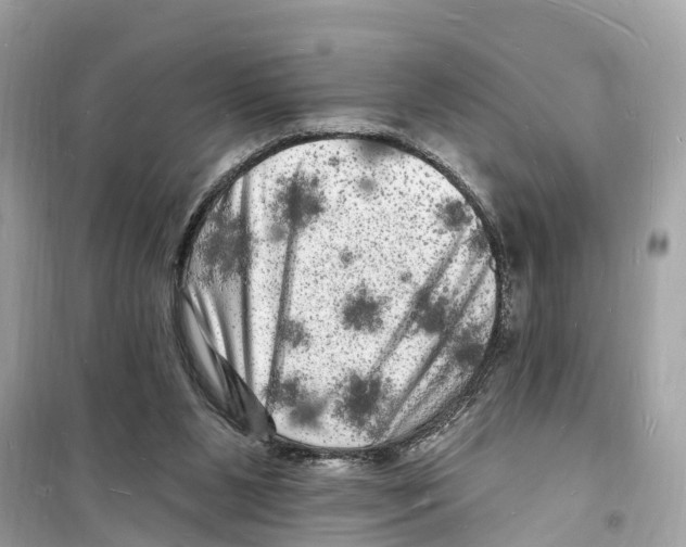 X0000098230111200805221720