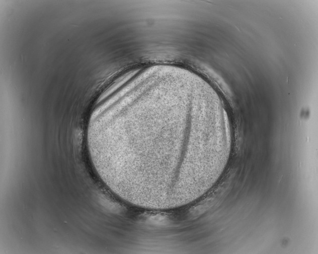 X0000098230113200805221720