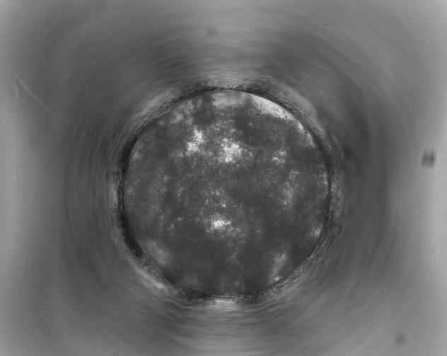 X0000098230114200805221720