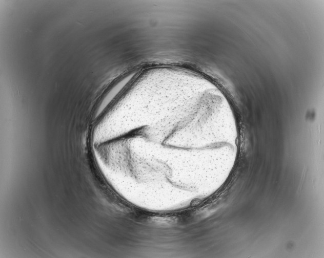 X0000098230115200805221720