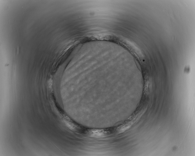 X0000098230121200805221720