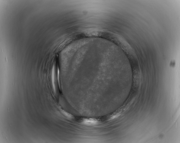 X0000098230125200805221719