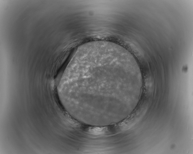 X0000098230129200805221719