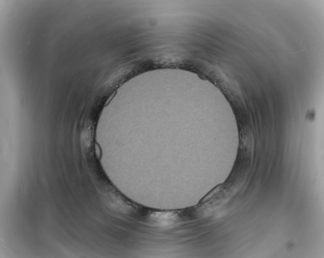 X0000098230133200805221719