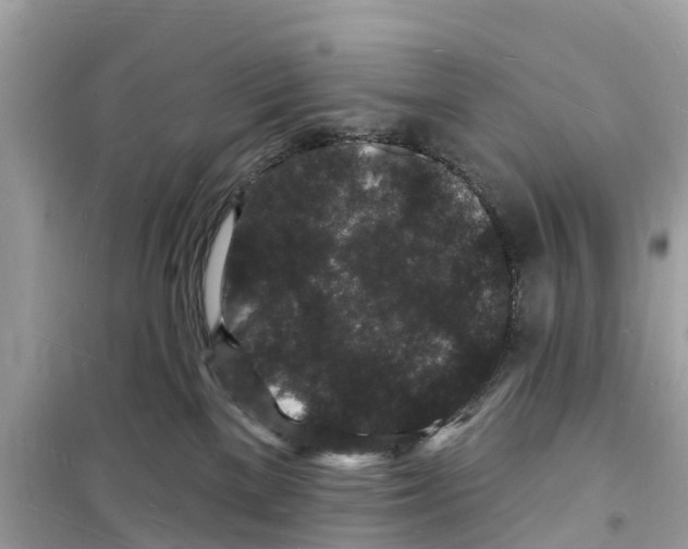 X0000098230137200805221719