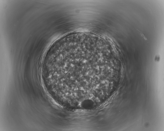 X0000098230145200805221718