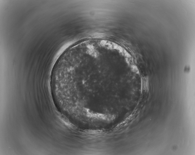 X0000098230147200805221718