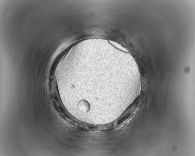 X0000098230150200805221718