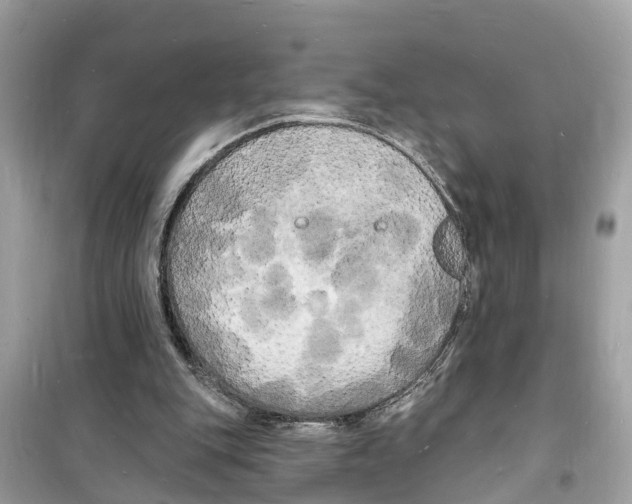 X0000098230151200805221718