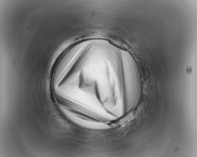 X0000098230152200805221718