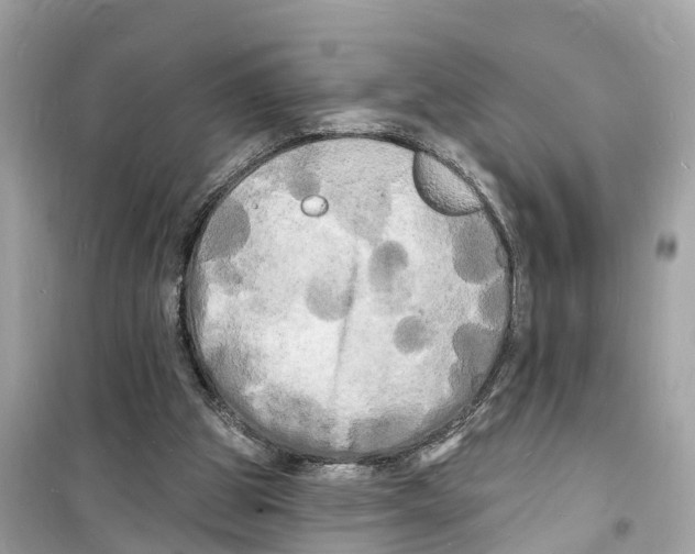 X0000098230153200805221718