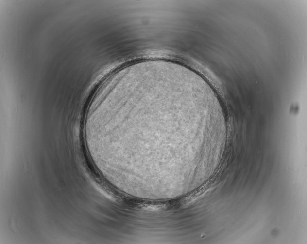 X0000098230155200805221719