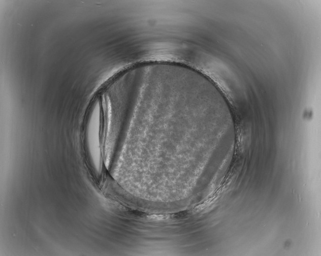 X0000098230160200805221719