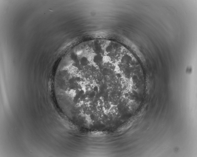 X0000098230161200805221719