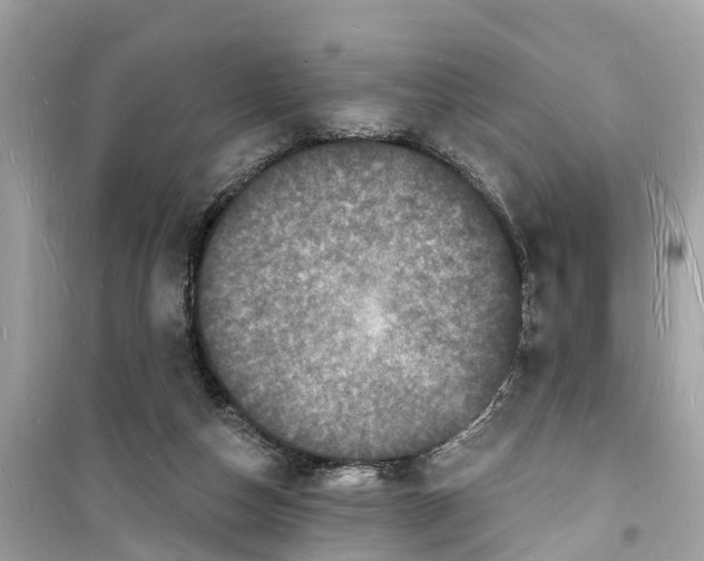 X0000098230162200805221719